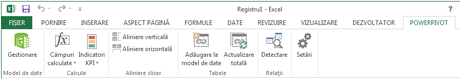 Panglica PowerPivot