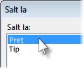 Caseta de dialog Salt la