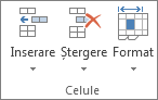 Grupul Celule din fila Pornire