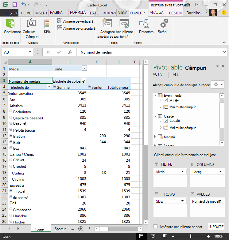 PivotTable cu ierarhie adăugată
