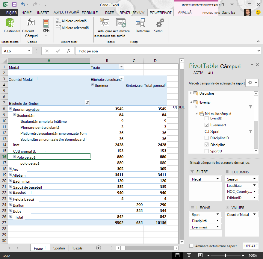 PivotTable creat fără ierarhie
