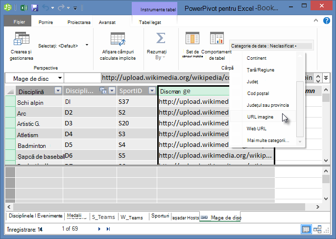 Setați categoria de date în PowerPivot