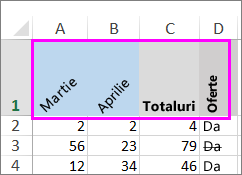 Rând de text rotit în diverse moduri.