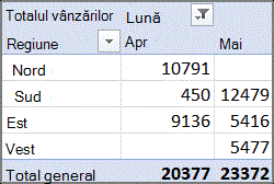 Exemplu de raport PivotTable