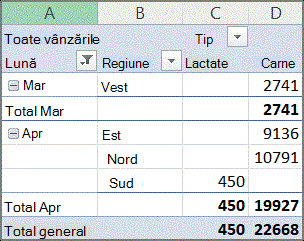 Exemplu de raport PivotTable
