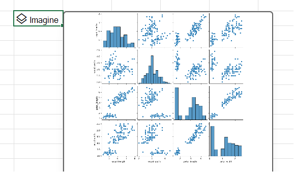 Utilizați Python în Excel pentru a crea o reprezentare pereche cu biblioteca seaborn.