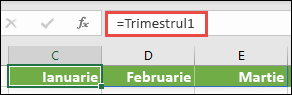 Utilizați o constantă matrice denumită într-o formulă, cum ar fi =Trimestru1, unde Trimestru1 a fost definit ca ={Ianuarie,Februarie,Martie}