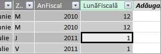 Coloana Lună fiscală