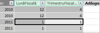 Coloana Trimestru fiscal