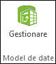 Butonul Gestionare din panglica PowerPivot
