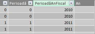 Coloana Perioadă an fiscal