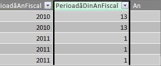 Coloana Perioadă din an fiscal