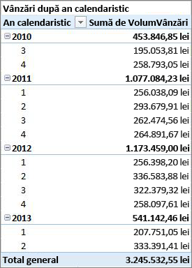 Raport PivotTable eșantion