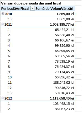 PivotTable eșantion pentru anul fiscal