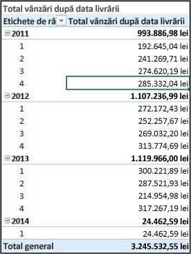 Total vânzări după data livrării PivotTable