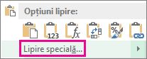 Comanda Lipire specială, care apare după copierea unei celule, selectarea unei coloane sau a unui rând de celule, apoi clic dreapta