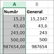exemplu pentru modul în care apar numerele cu formate diferite, cum sunt Număr și General.