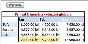 Imprimarea cu bordură