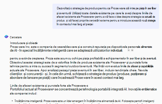 Raport cercetare