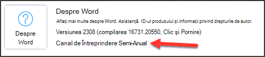 Indicare a Canalului Enterprise semestrial în zona Despre Word a secțiunii Informații despre produs.