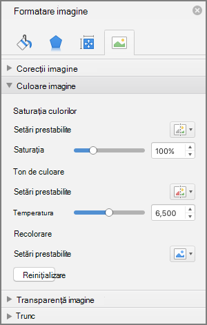 Ajustarea setărilor de saturație a culorilor în panoul Formatare imagine