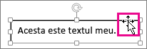 Cursor peste bordura unei casete text, transformat într-o săgeată cu patru capete
