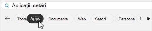 Captură de ecran cu filele de filtrare a căutării Windows.