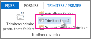 Captură de ecran a butonului Trimitere totală din Outlook 2013.