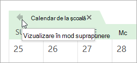 Faceți clic pe săgeata Vizualizare în mod suprapunere