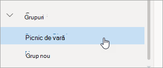 Captură de ecran cu un grup în panoul din stânga