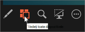 Faceți clic pe Navigator prin diapozitive pentru a vedea toate diapozitivele