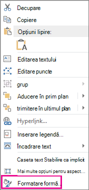 Format Shape on the shortcut menu