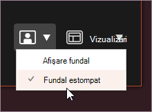 Estomparea fundalului