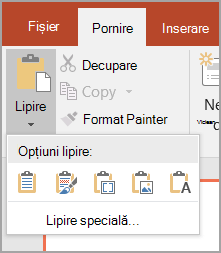 Selectați Lipire specială