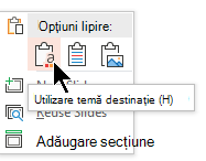Sub Opțiuni lipire, selectați prima opțiune, Utilizare temă destinație