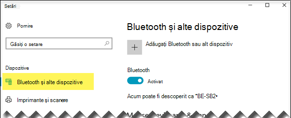 Asigurați-vă că este selectată opțiunea Bluetooth & alte dispozitive în partea stângă