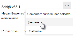 Comanda Ștergere versiune