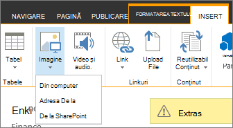 Butonul Inserare imagine cu meniul de opțiuni sursă dedesubt.
