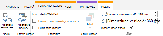 Media tab on edit ribbon