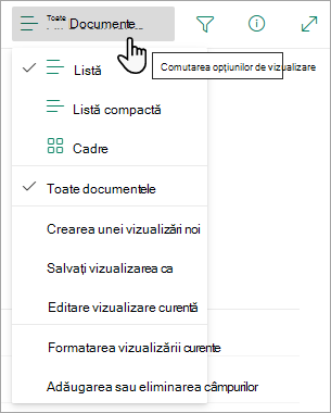 Multe liste au alte vizualizări pe care le puteți selecta utilizând meniul Vizualizare opțiuni.