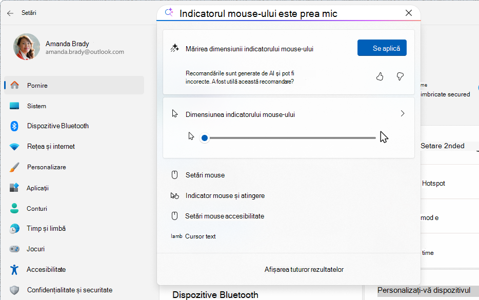 Captură de ecran a Setărilor afișând o căutare bazată pe inteligența artificială utilizând agentul.