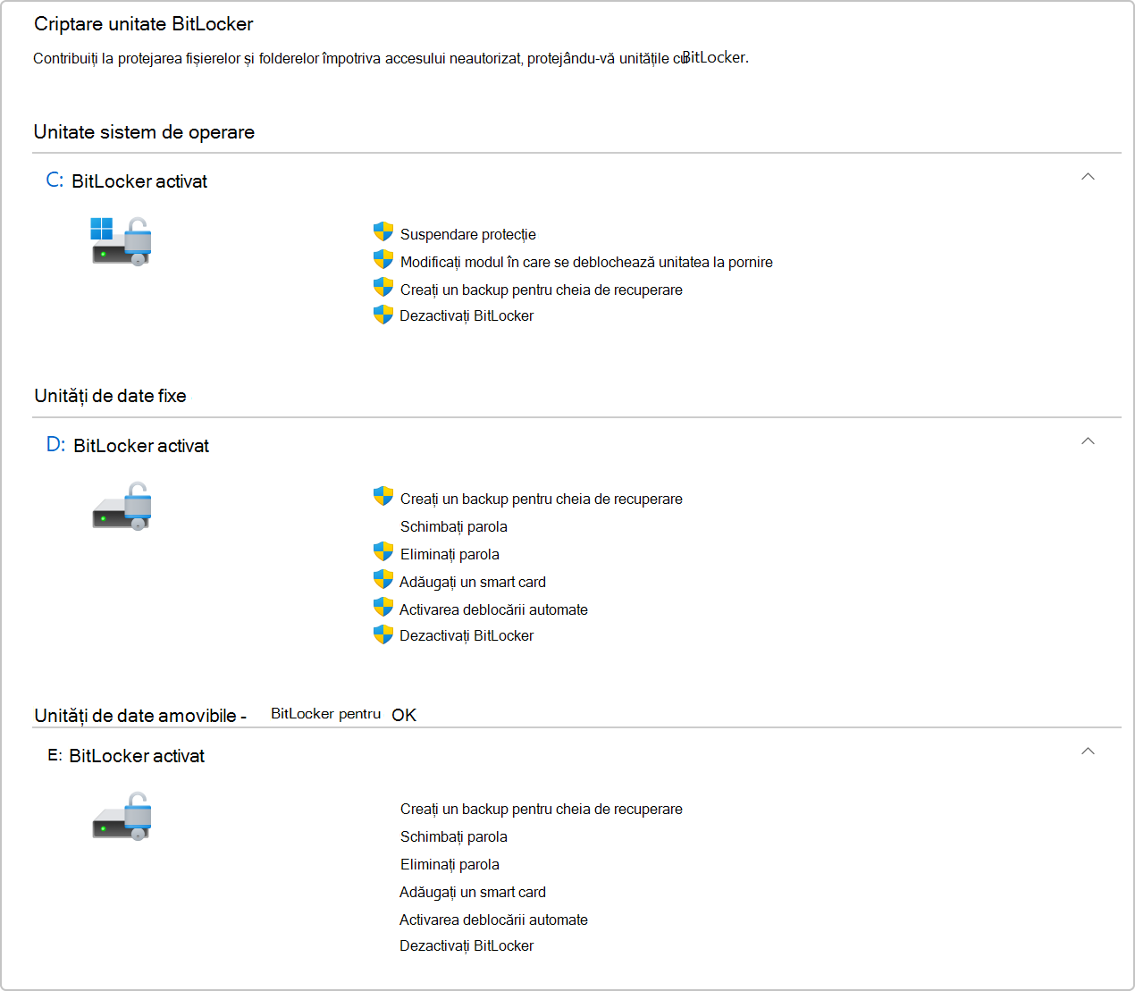 Captură de ecran cu criptarea unității BitLocker din Panou de control.