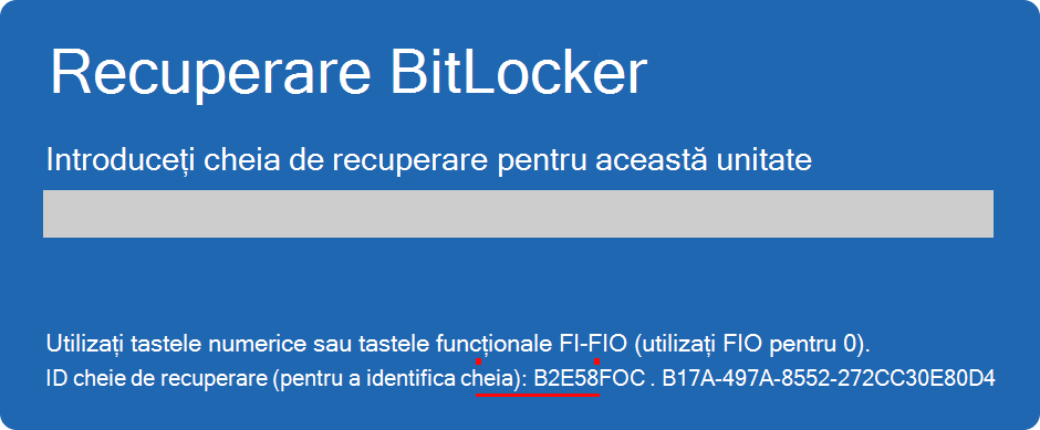Captură de ecran a ecranului de recuperare BitLocker care evidențiază ID-ul cheii.