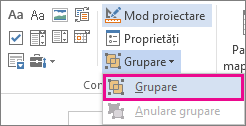controale grup mod dezvoltator