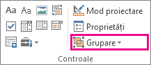 butonul grup mod dezvoltator