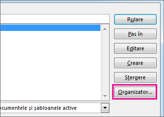 Butonul Organizator în caseta Vizualizare macrocomenzi