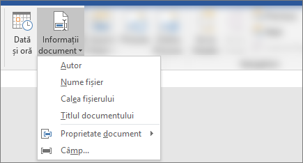 Captură de ecran afișând butoanele Informații document și Dată & Oră de pe panglica Word