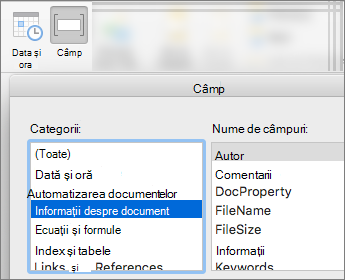 Captură de ecran care afișează codurile de câmp filtrate după categoria Informații document