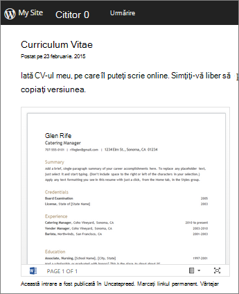 Document Word încorporat într-o postare de blog