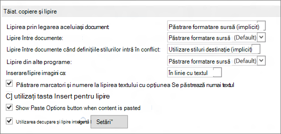 Word 2013 cut, copy, and paste options